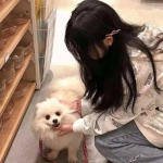 九州飞凰录九游游戏下载